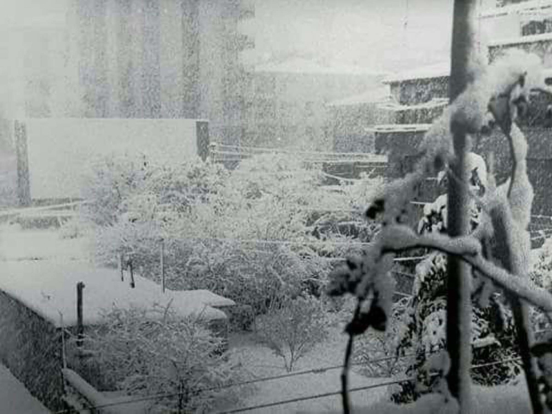 1954 - İstanbul'da yaşanan büyük kış mevsimi 35